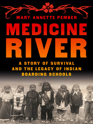 Medicine River - ebook